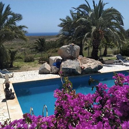 Bluemar ξενώνας Αλμερία Εξωτερικό φωτογραφία